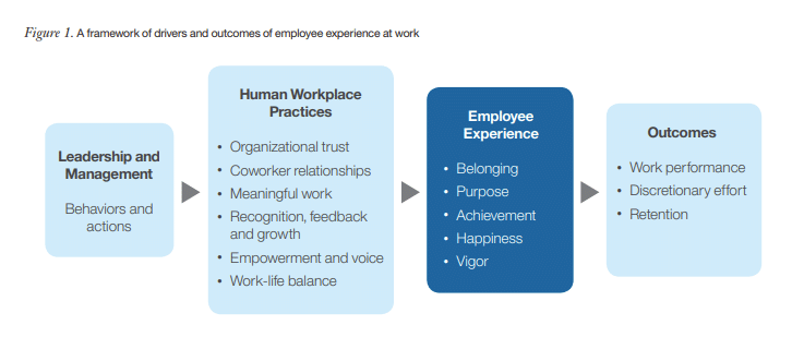 Image from IBM Smarter Workforce Institutes about the framework of positive employee experience
