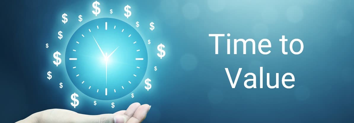 Why Should You Be Concerned with Time to Value?