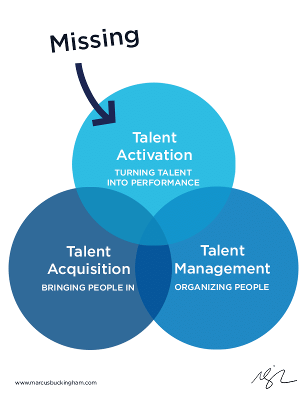 Image from Marcus Buckingham's What is Talent Activation